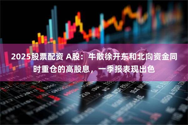 2025股票配资 A股：牛散徐开东和北向资金同时重仓的高股息，一季报表现出色