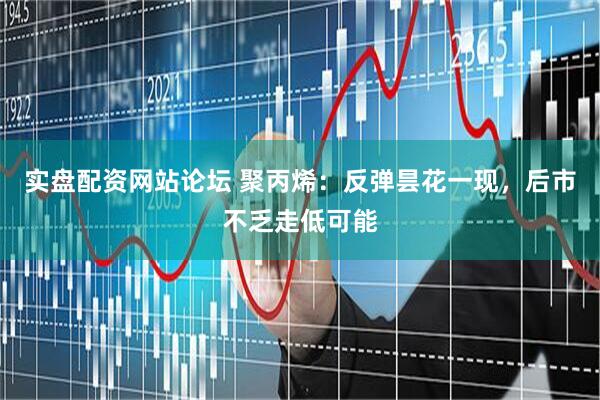 实盘配资网站论坛 聚丙烯：反弹昙花一现，后市不乏走低可能
