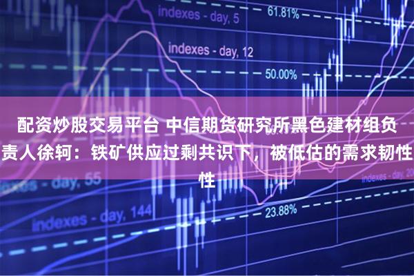 配资炒股交易平台 中信期货研究所黑色建材组负责人徐轲：铁矿供应过剩共识下，被低估的需求韧性